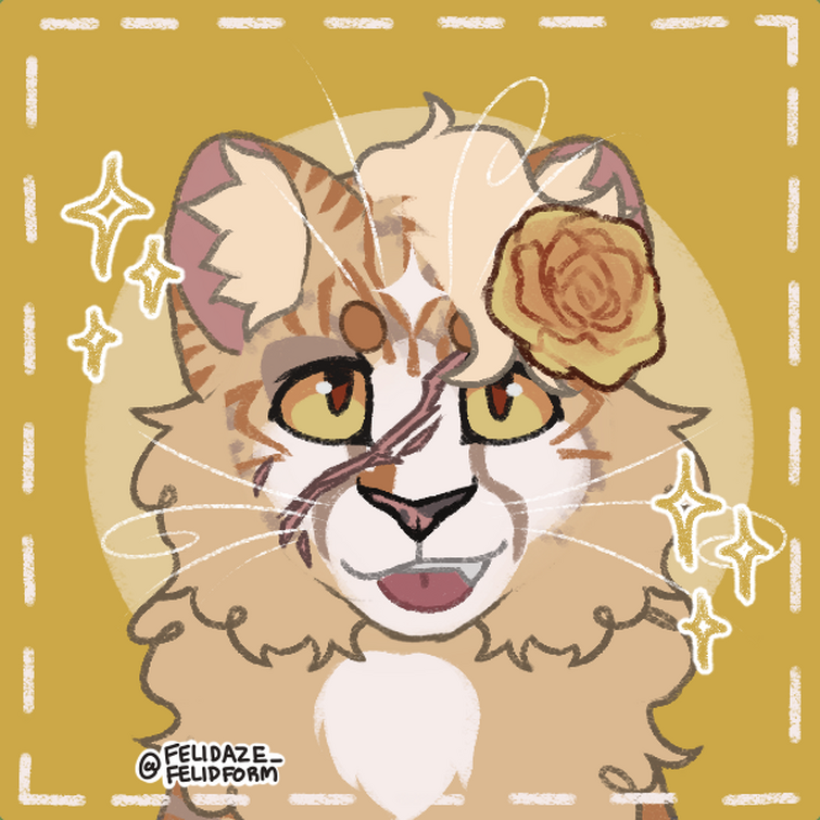 Two possibly new Warrior Cats OCs I made in Felidaze's cool cat creator on  Picrew. Name ideas? : r/WarriorCats