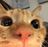 LITTLE-REN.THERIAN's avatar
