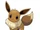 *EeVee*
