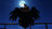 Soot the dinosaur guy's avatar