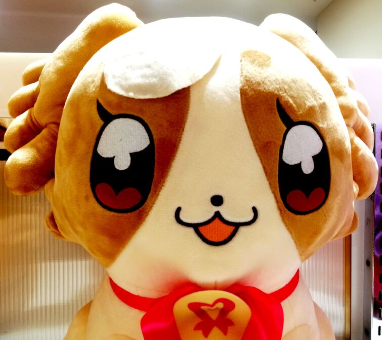 Fandom Image