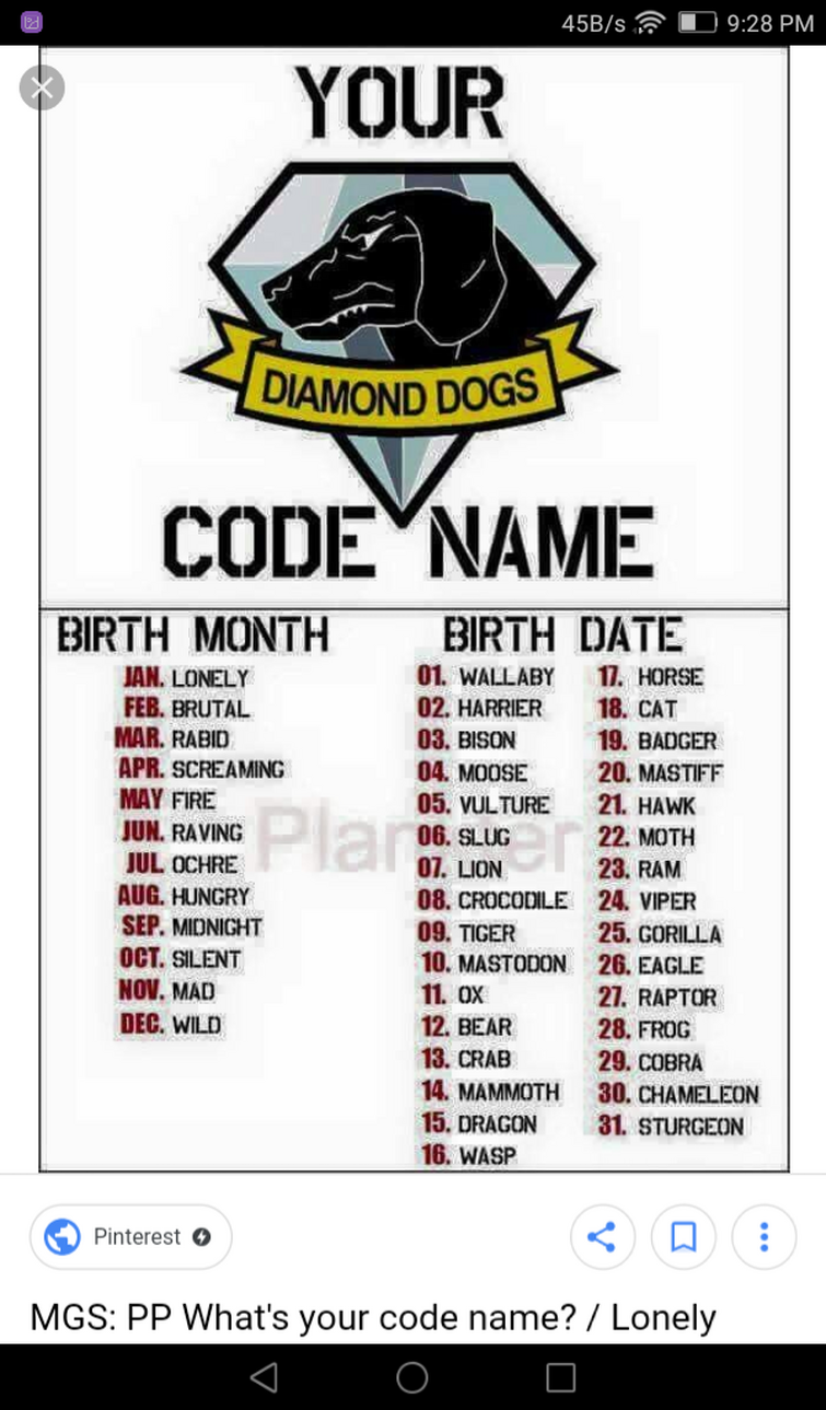 What is your code name if you were a Diamond Dog?