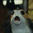 Woodswesleyr's avatar