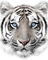 WhiteTiger3001's avatar