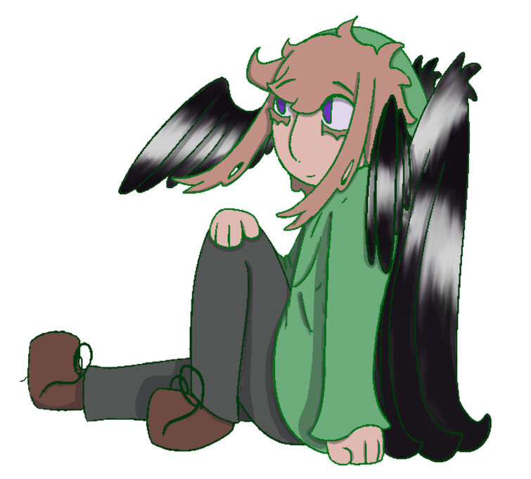 Fandom Image