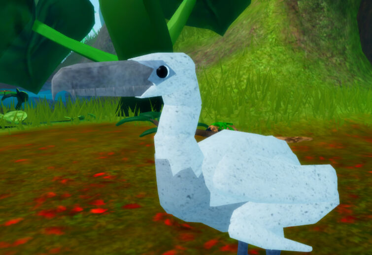 Discuss Everything About Roblox Feather Family Wiki Fandom - roblox feather family pelagornis