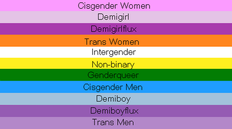 Gender Questioning Flag That I Made Fandom
