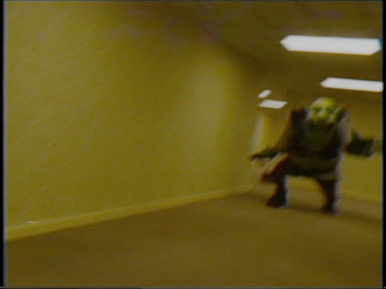 I entered Level 94 in Shrek in the Backrooms by Sparrowgee on DeviantArt