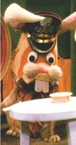 Zoef de Haas.jpg