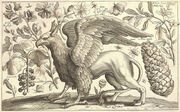 Wenceslas Hollar - A Griffin.jpg