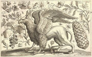 Wenceslas Hollar - A Griffin