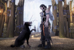 Can You Pet the Dog? on X: You cannot pet the dog in Fable II