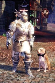 Dog Suit, The Fable Wiki