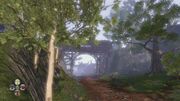 Oakvale from "See the Future"