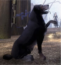 Fable2Dog.jpg