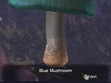 Blue Mushroom