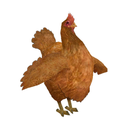 ChickenFable