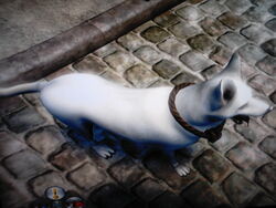 Dog (Fable II), The Fable Wiki