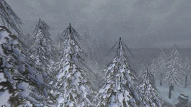 Northern Wastes (Fable TLC)