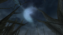 Darkwood