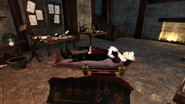 Lady Grey resurrected in the Bowerstone Cemetery Mansion. (Fable II)