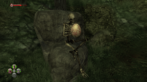 Dingly Egg Skeleton