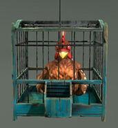 Pet Clucking