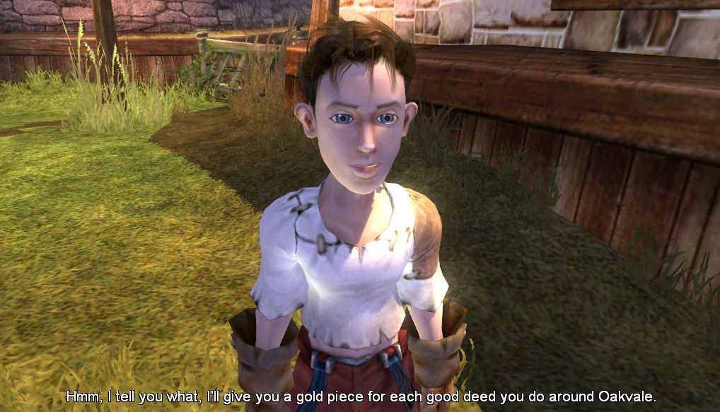 fable 2 pc gameplay
