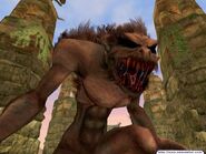 Balverine Closeup.jpg (56 KB)