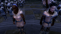 Guild ApprenticesHERO-WHISPER