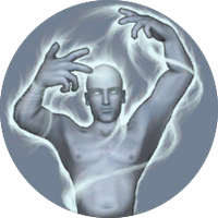 The emblem shown at the level-up screen.