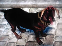 Dog (Fable II), The Fable Wiki