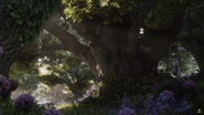 A great tree
