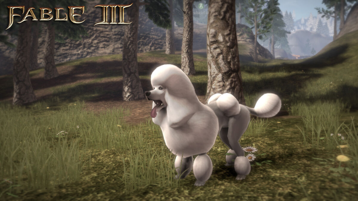 Dog Suit, The Fable Wiki