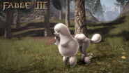 F3 DLC Poodle