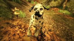 Dog (Fable II), The Fable Wiki