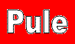 Pule's Signature