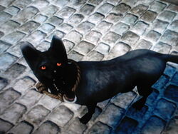 Dog (Fable II), The Fable Wiki