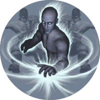 The emblem shown at the level-up screen.