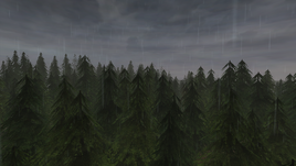 Witchwood