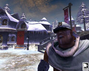 Una guardia di Snowspire
