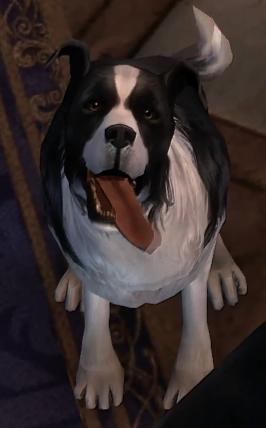 Dog (Fable III), The Fable Wiki