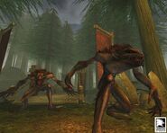 Balverines.jpg (64 KB) A pair of Balverines