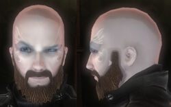 Hairstyles The Fable Wiki Fandom