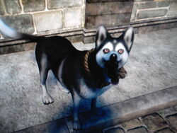 Dog (Fable II), The Fable Wiki