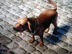 Dog (Fable II), The Fable Wiki