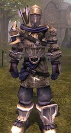 Bright Chainmail Suit.jpg