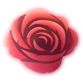 Ragged Rose