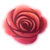 Ragged Rose