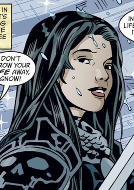 Fables 145 Snow armor